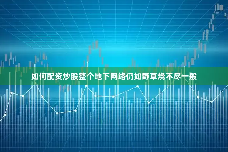 如何配资炒股整个地下网络仍如野草烧不尽一般