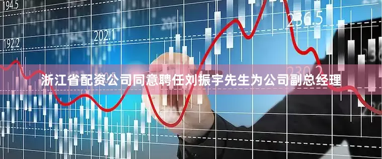 浙江省配资公司同意聘任刘振宇先生为公司副总经理