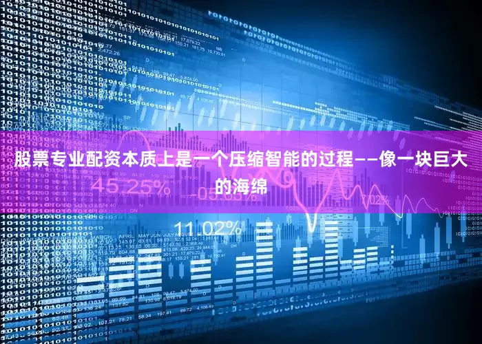 股票专业配资本质上是一个压缩智能的过程——像一块巨大的海绵