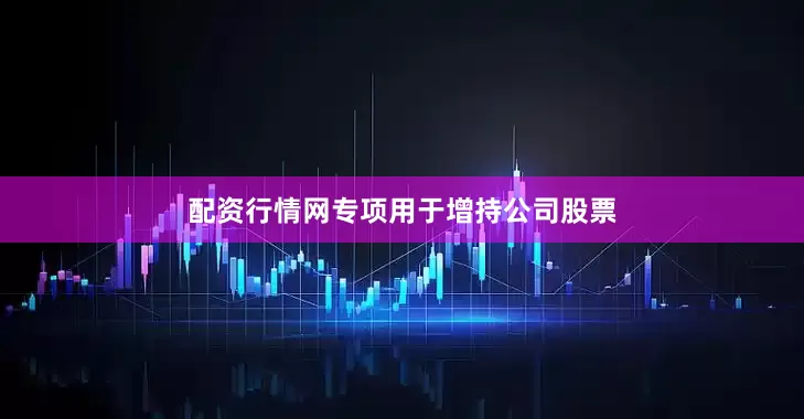 配资行情网专项用于增持公司股票