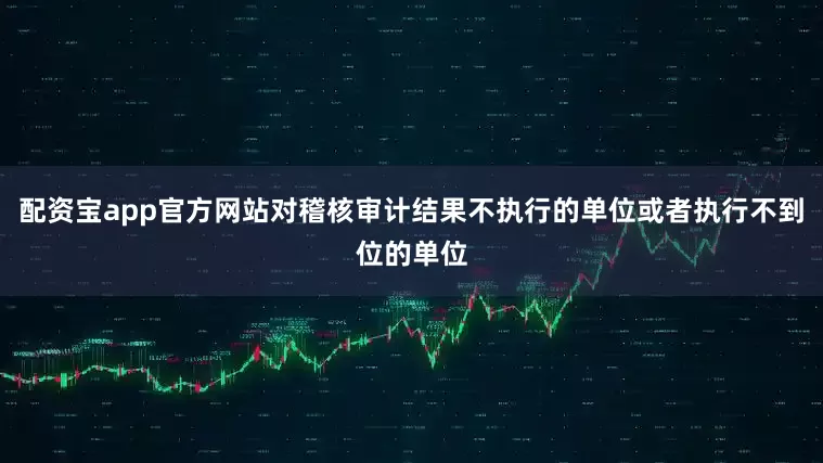 配资宝app官方网站对稽核审计结果不执行的单位或者执行不到位的单位
